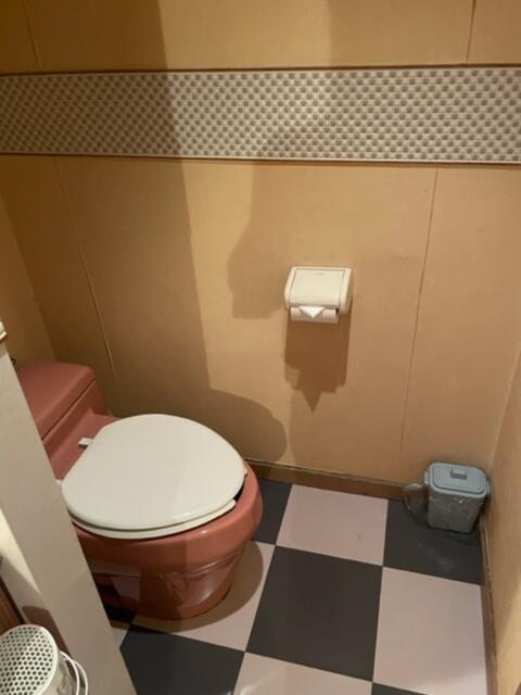 サンレモ(新宿区/ラブホテル)の写真『202号室、トイレ。』by 都まんじゅう