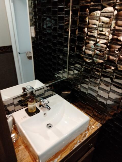 HOTEL Balibali ANNEX（バリバリアネックス）(品川区/ラブホテル)の写真『306号室 洗面台』by 巨乳輪ファン