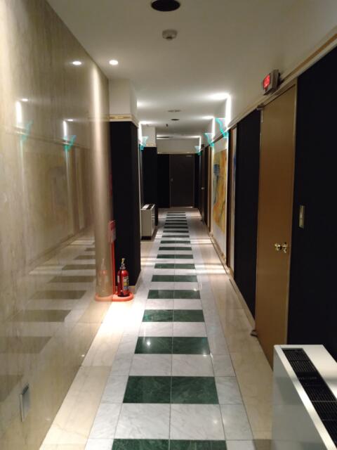 ホテル パル新宿店(新宿区/ラブホテル)の写真『３階の廊下』by なめろう