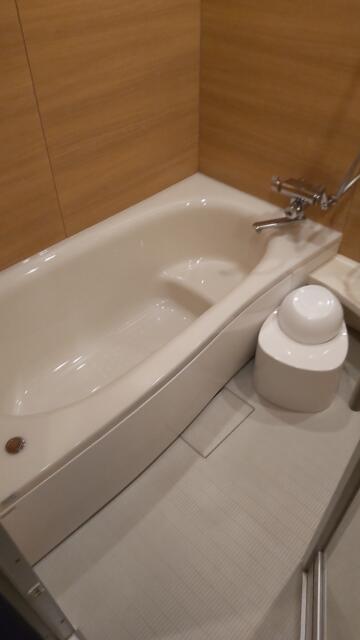 HOTEL ザ・ウエスト(八王子市/ラブホテル)の写真『101号室・浴室』by 郷ひろし（運営スタッフ）