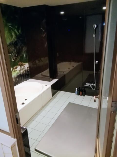 アルティア ダイナソー町田店(町田市/ラブホテル)の写真『704号室、浴室です。(22,10)』by キジ