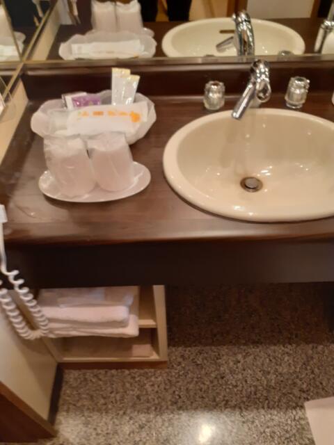 ミンク町田(相模原市/ラブホテル)の写真『２０２号室　浴室前の洗面所』by 新アッキー