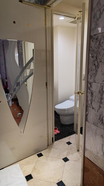 HOTEL COCO RESORT（ココリゾート）(厚木市/ラブホテル)の写真『307号室入り口、トイレ』by きよ_misa