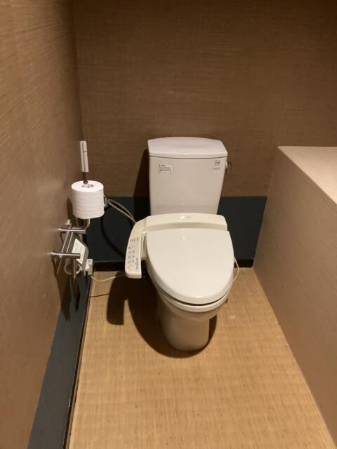 Utovilla（ユートビラ）HOTEL555 沼津店(沼津市/ラブホテル)の写真『30号室トイレ』by さまよう旅人