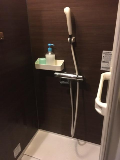 プチホテル AGAIN(荒川区/ラブホテル)の写真『202号室シャワールーム』by あらび