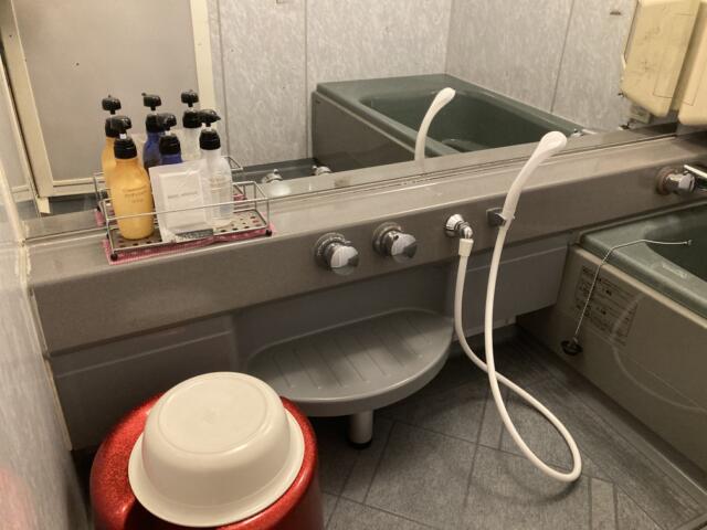 HOTEL LAGNA(ラグナ)(守山市/ラブホテル)の写真『301号室　シャワー』by まさおJリーグカレーよ