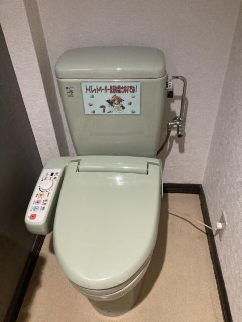 HOTEL LAGNA(ラグナ)(守山市/ラブホテル)の写真『301号室　トイレ』by まさおJリーグカレーよ