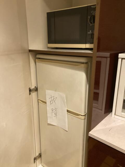 HOTEL LAGNA(ラグナ)(守山市/ラブホテル)の写真『301号室　レンジ、冷蔵庫』by まさおJリーグカレーよ