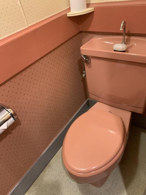 ドルフィン(新宿区/ラブホテル)の写真『302号室　トイレ』by 東京都