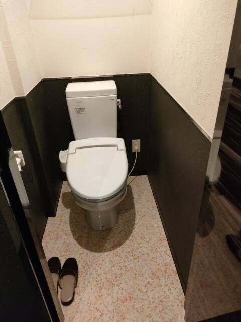 ホテル アトランタ(豊島区/ラブホテル)の写真『１００１室トイレ』by pink fish