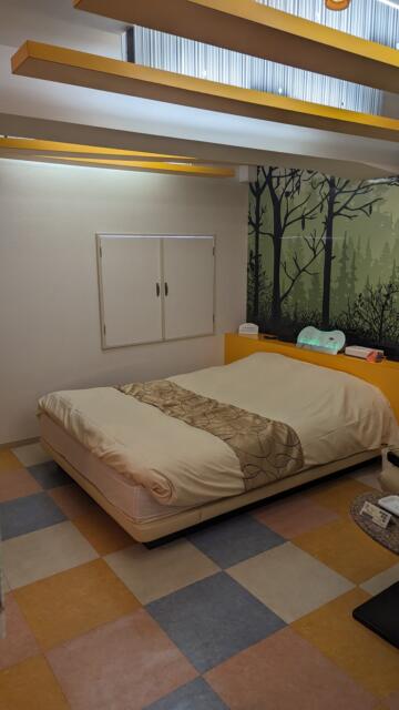 ティファナ・イン(浜松市/ラブホテル)の写真『205号室 ベット周辺』by クワッグ