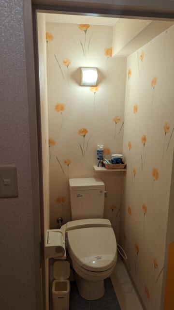 ティファナ・イン(浜松市/ラブホテル)の写真『205号室 お手洗い』by クワッグ
