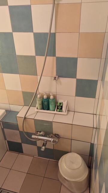 ティファナ・イン(浜松市/ラブホテル)の写真『205号室 浴室シャワー周辺』by クワッグ