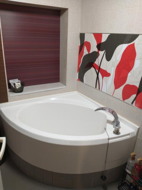 HOTEL EXE ANNEX(エグゼ アネックス)(台東区/ラブホテル)の写真『302号室 浴室』by よしわランド