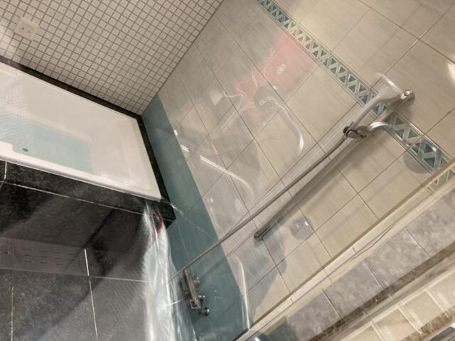 ココホテルティアラ(静岡市駿河区/ラブホテル)の写真『２０７号室浴室』by さまよう旅人