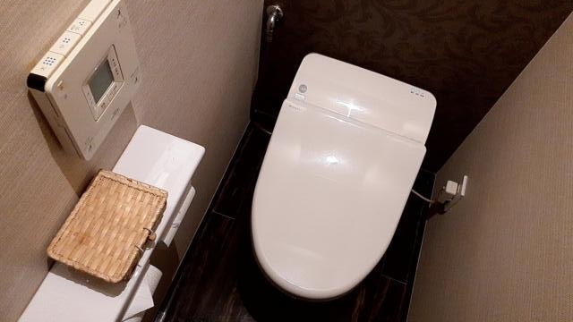 ホテルAVYSS(アビス)(新宿区/ラブホテル)の写真『701号室トイレ』by 春風拳