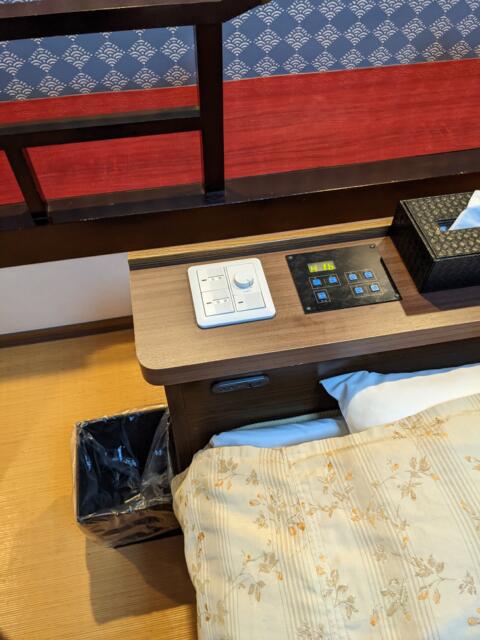 HOTEL LEGIAN（レギャン）(浜松市/ラブホテル)の写真『１５号室（ベッドの照明パネル）』by マーシ
