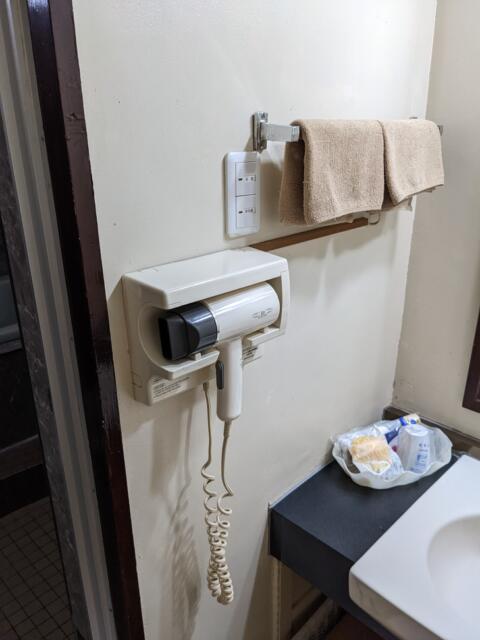 HOTEL LEGIAN（レギャン）(浜松市/ラブホテル)の写真『１５号室（洗面所ドライヤー）』by マーシ