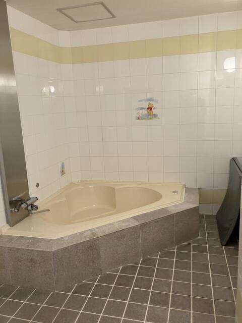 HOTEL SARA SWEET（サラスイート）(久喜市/ラブホテル)の写真『305 浴室』by festa9