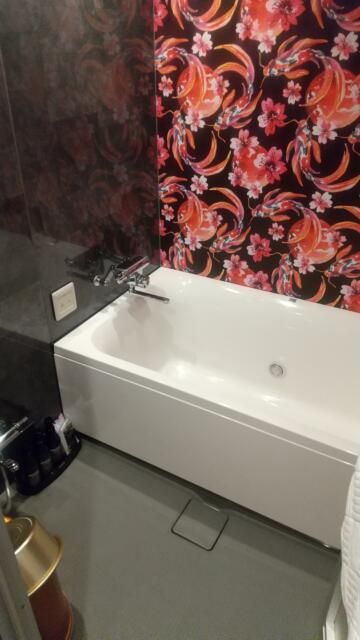 HOTEL ZHIPAGO (ジパゴ)(品川区/ラブホテル)の写真『301号室浴室』by こーーじ
