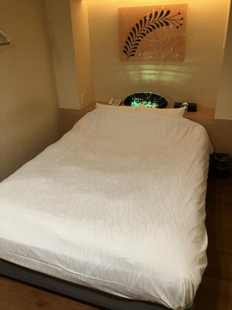 ZERO(渋谷区/ラブホテル)の写真『502号室　ベッド①』by hireidenton