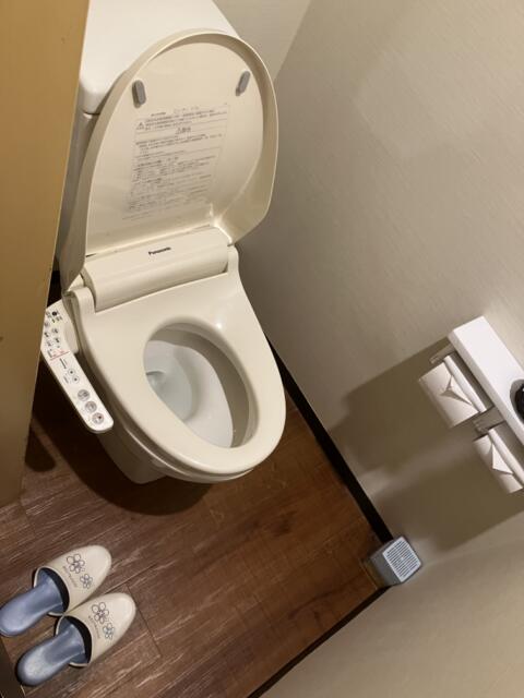 ZERO(渋谷区/ラブホテル)の写真『502号室　トイレ②フタが開いている状態』by hireidenton