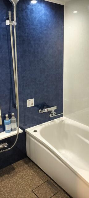 HOTEL DIAMOND（ダイヤモンド）(渋谷区/ラブホテル)の写真『601号室　浴室』by ところてんえもん