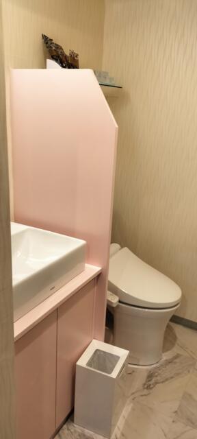 ホテル アトランタ(豊島区/ラブホテル)の写真『303号室　トイレ&amp;洗面所』by ところてんえもん