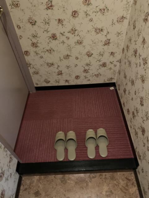 ホテル ウィズ(相模原市/ラブホテル)の写真『206号室　玄関』by 東京都
