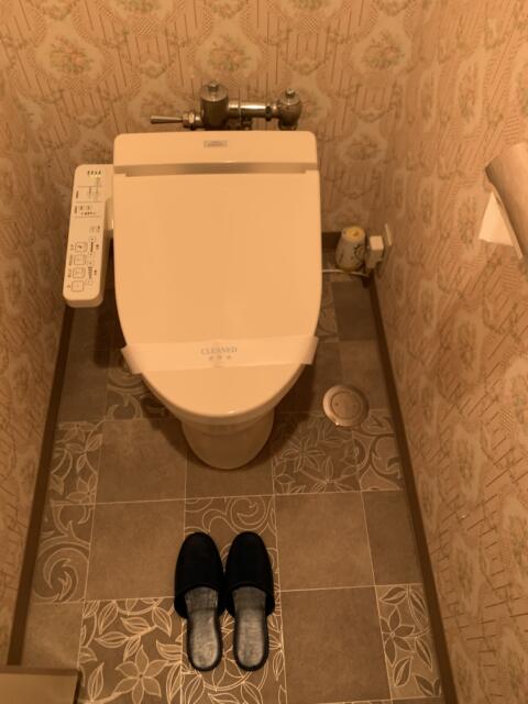 ホテル ウィズ(相模原市/ラブホテル)の写真『206号室　トイレ』by 東京都