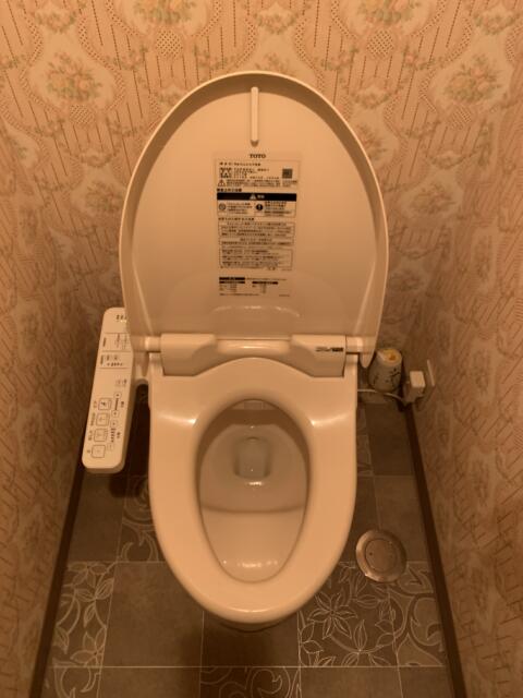 ホテル ウィズ(相模原市/ラブホテル)の写真『206号室　トイレ（オープン時）』by 東京都