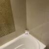 HOTEL Lapis（ラピス）(大田区/ラブホテル)の写真『207号室(浴室左手前から)』by こねほ