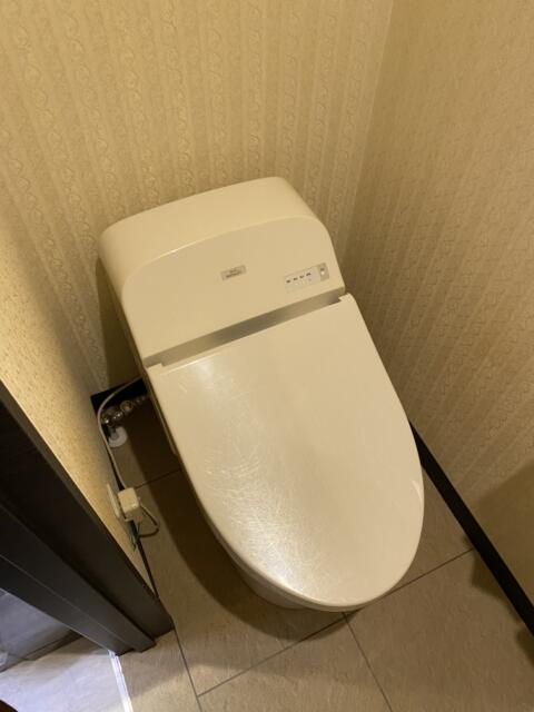 HOTEL Lapis（ラピス）(大田区/ラブホテル)の写真『207号室(トイレ)』by こねほ
