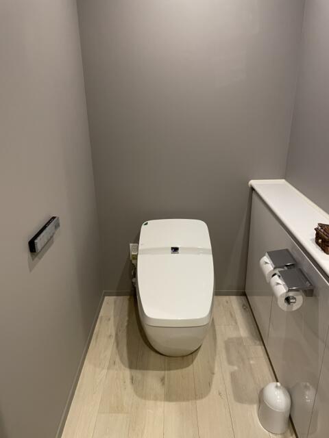 FABULOUS(ファビュラス)(立川市/ラブホテル)の写真『1001号室のトイレ』by すずきわ
