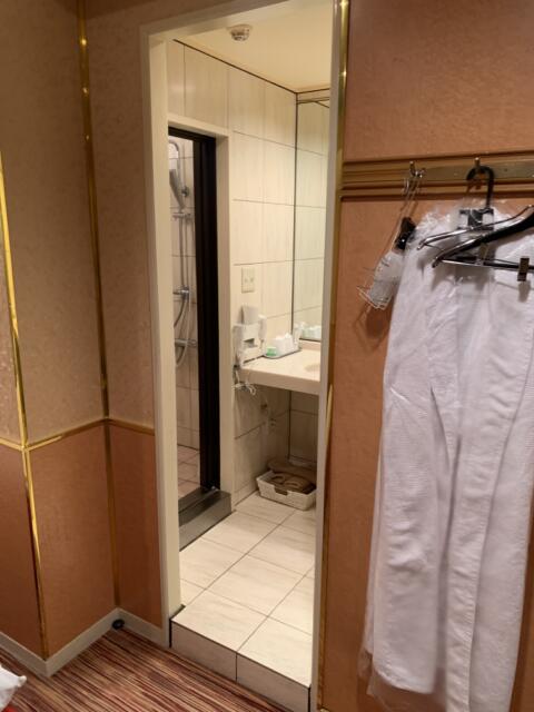 ホテルSAVOY(台東区/ラブホテル)の写真『408号室 洗面所 ※客室より』by 鶯谷人