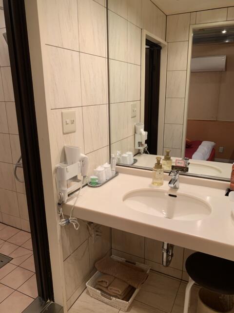ホテルSAVOY(台東区/ラブホテル)の写真『408号室 洗面台』by 鶯谷人