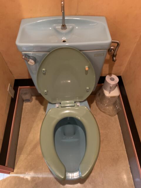 ホテル ルポ(墨田区/ラブホテル)の写真『403号室　トイレ（オープン時）』by 東京都