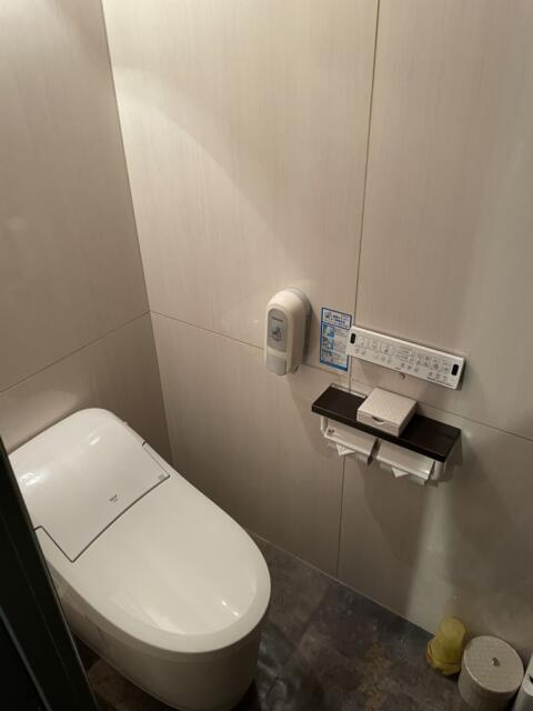 ラピア(新宿区/ラブホテル)の写真『306号室、トイレ』by かとう茨城47