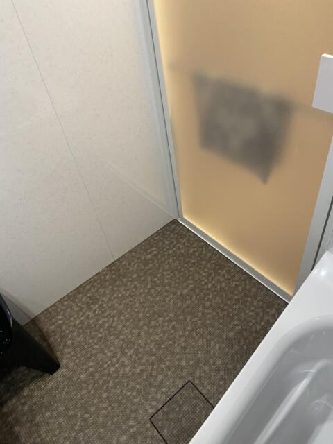 HOTEL DIAMOND（ダイヤモンド）(渋谷区/ラブホテル)の写真『302号室(浴室左奥から)』by こねほ