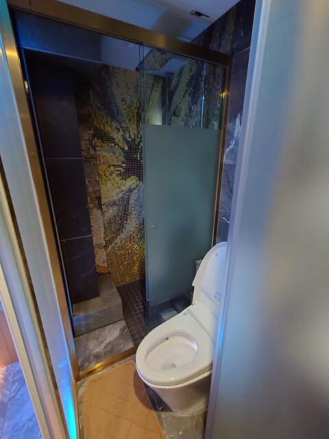 モンタナ ホテル(豊島区/ラブホテル)の写真『101号室トイレ、シャワールーム（同一区画で並び。奥がシャワールーム）』by そこそこの人生