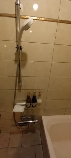 ホテル ロッソ(川崎市川崎区/ラブホテル)の写真『201号室 浴室　シャワー』by angler