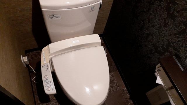 HOTEL IXION（イクシオン)(戸田市/ラブホテル)の写真『310号室、トイレ』by 春風拳