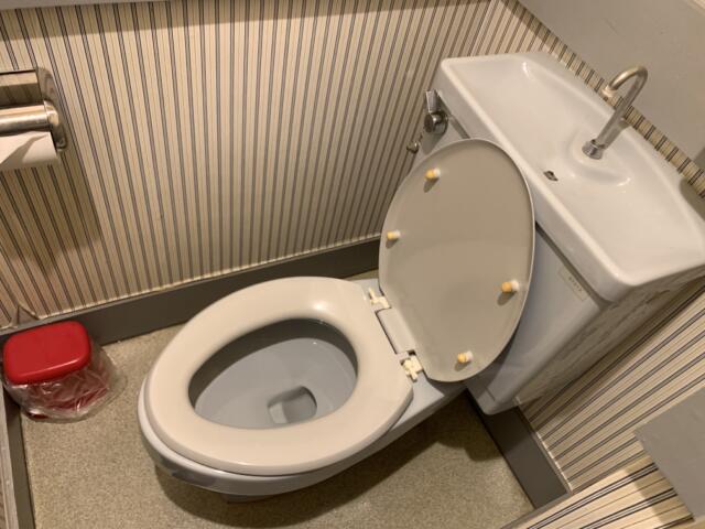 ドルフィン(新宿区/ラブホテル)の写真『303号室　トイレ（オープン時）』by 東京都
