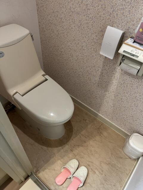 HOTEL AI（アイ）(沼津市/ラブホテル)の写真『714号室　ウォシュレットトイレ』by ま〜も〜る〜