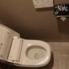 HOTEL FARINA DOLCE （ファリーナドルチェ）(鹿沼市/ラブホテル)の写真『203号室　トイレ』by ないとん