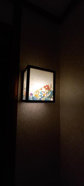 ペリカン(渋谷区/ラブホテル)の写真『402号室　和風の照明』by angler
