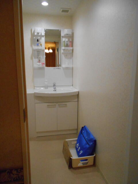 ホテルシティ(立川市/ラブホテル)の写真『205号室、洗面所』by もんが～
