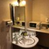 HOTEL アムール(台東区/ラブホテル)の写真『205号室　使いやすい洗面所』by みこすりはん