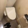 HOTEL アムール(台東区/ラブホテル)の写真『205号室　トイレ』by みこすりはん
