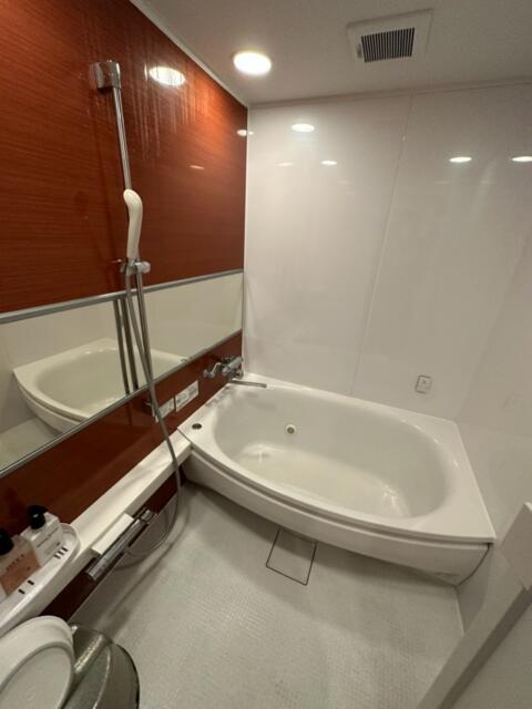 ラックス(台東区/ラブホテル)の写真『407号室の浴室』by miffy.GTI